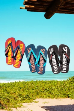 Ciabatte Infradito Havaianas Top Logomania Navy