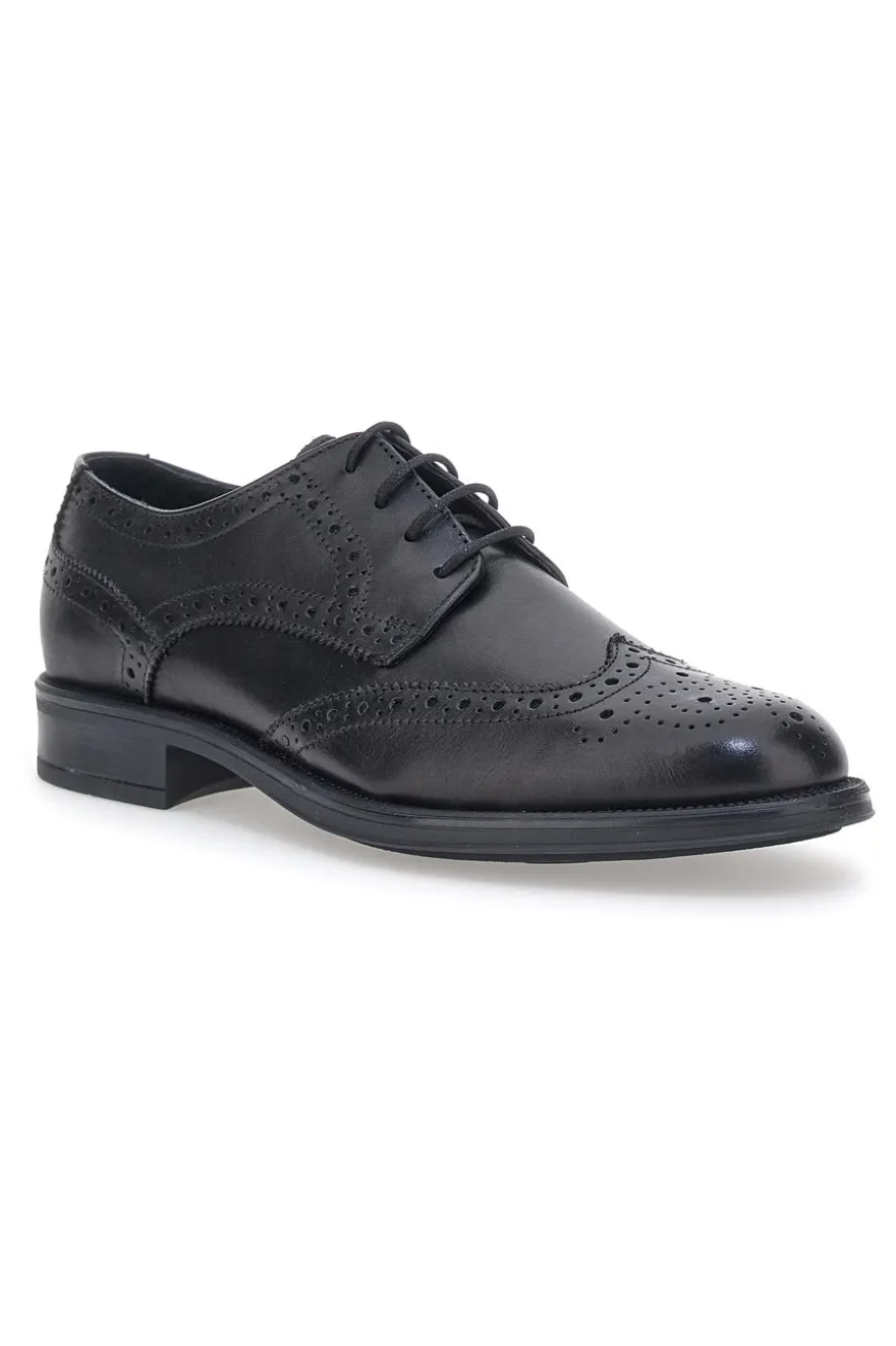 Elegante Schnürschuhe Andrea Bruni 11706 Schwarz