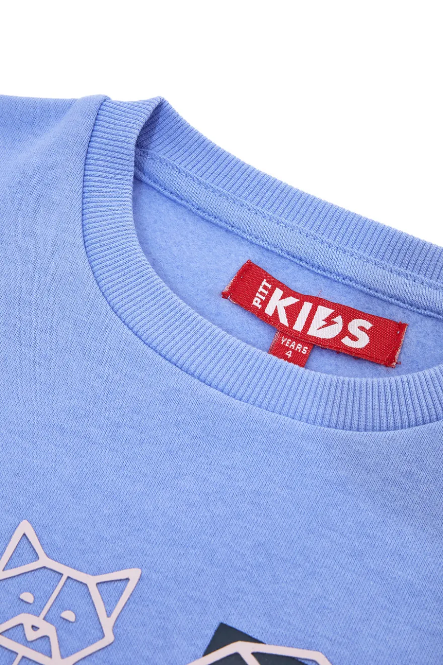 Felpa azzurra con stampa origami Pitt Kids PT-KF-8013