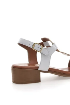 Sandali Bianchi con Tomaia in Pelle Pittarello Look 244295