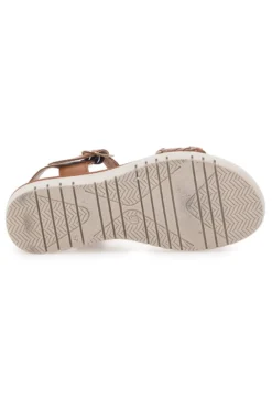 Sandali Marroni Pittarello Focus 6705000