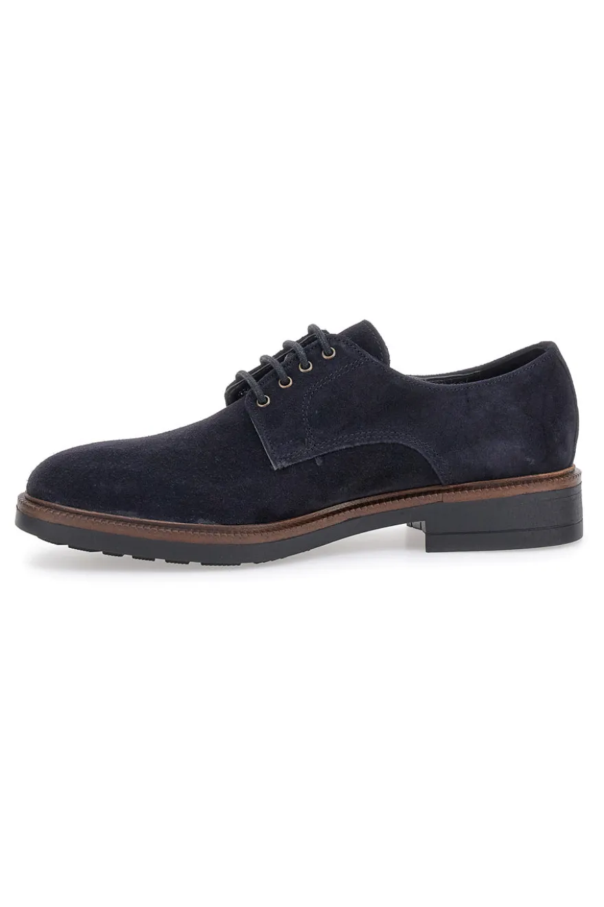 Scarpe stringate Blue in pelle scamosciata Pittarello class 600