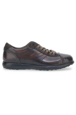 Scarpe Stringate Jerpoint 1911 Marrone