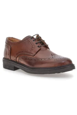 Scarpe stringate marroni brogue in vera pelle Pittarello Focus 224