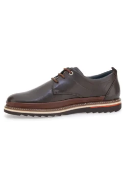 Scarpe Stringate Marroni Pittarello Eco 450002