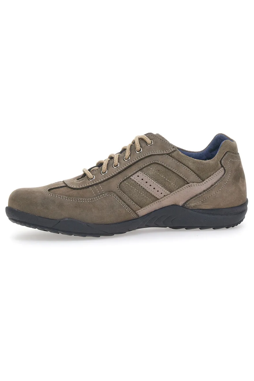 Scarpe Stringate Pittarello Eco 7016 Taupe