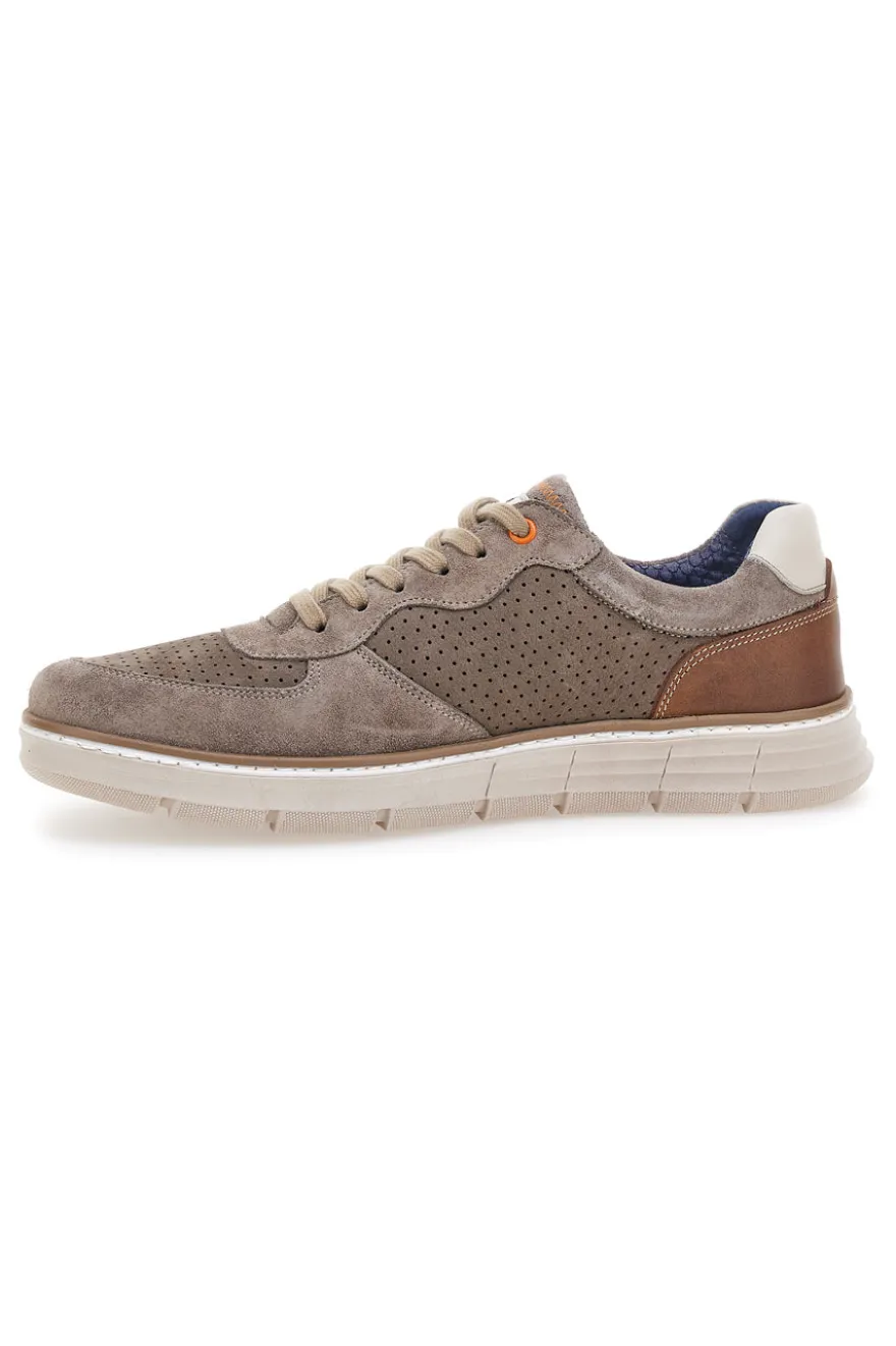 Scarpe stringate taupe traforate con zip laterale Pittarello eco 26111008