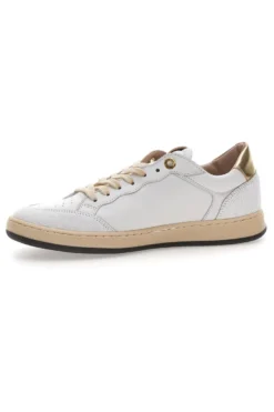 Sneaker bianca in vera pelle con dettagli oro Pittarello Capsule Kelly