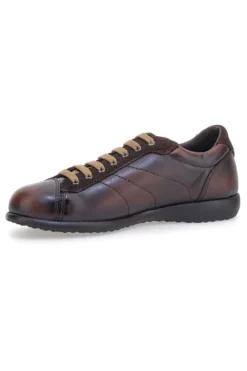 Sneakers marroni in vera pelle con finitura sfumata Pittarello 22095681