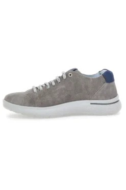 Sneakers Pittarello Eco 9010 Grigio